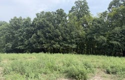 Forrest Road, Cameron, MO 64649