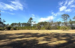 8384 Palmetto Road, Edisto Island, SC 29438