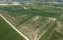Luverne, MN 56156