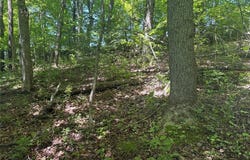 TR117-NR Woodside, Nicholson Twp, PA 15478
