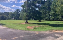 Tom Charles Road, Summerton, SC 29148