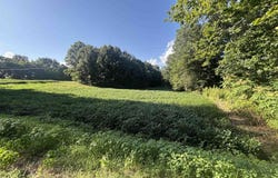 944 S, Fulton, KY 42041