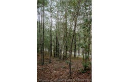 Nighthawk Loop lot: 3-Tbd, Aberdeen, NC 28315