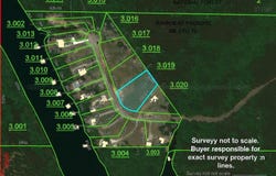 414 PARADISE TRAIL Way, Arley, AL 35541