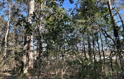 7940 LeBaron Avenue, Citronelle, AL 36522