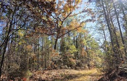 1 County Rd. 23, Marion, AL 36756