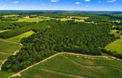 County Road 33, Ashford, AL 36312