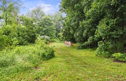 Frontz Rd, Perrysville, OH 44864