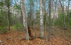 Off EAGLE WATERS RD, Eagle River, WI 54521