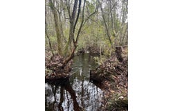 Buckatunna, MS 39322
