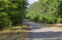13+/- Acres County Road 51, Greenesboro, AL 36744