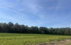 Tansy Rd., Loris, SC 29569