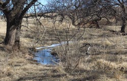 209 County Road, Freedom, OK 73842