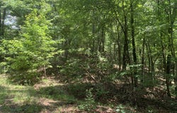 Grant Smith, Summit Ridge, Etc., Toccoa, GA 30577