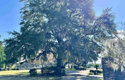 31 Battery White Ct., Georgetown, SC 29440