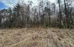 Dobosenski Road, Sturgeon Lake, MN 55783