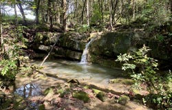 Cantwell Valley Rd, Sneedville, TN 37869