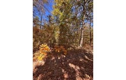 391 Freshwater Road, Broken Bow, OK 74728