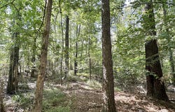 3 Dry Creek Road, Magee, MS 39111