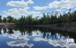 Powell Road, Eight Mile, AL 36613