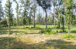 SW 77TH BLVD, Jasper, FL 32052