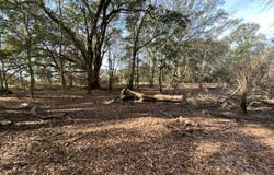Mimosa Ln, Cottondale, FL 32431