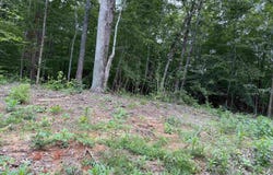 69 Hwy, Savannah, TN 38372