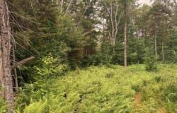 185 Valley View Road, Dover, VT 05356