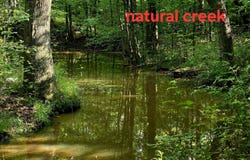 521 Cedar Knob Road, Benton, KY 42025
