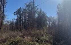--honey Fork Dr, Pontotoc, MS 38863