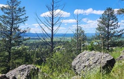 486 Hogue Drive, Bigfork, MT 59911
