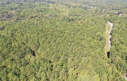 Neely Ferry Road, Tract B, Waterloo, SC 29384