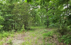 Mark Peterson Drive, Wright City, MO 63390