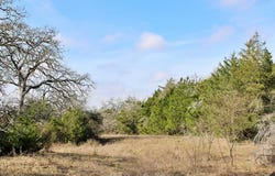 Parcel 5 Lobo Lane, Columbus, TX 78934