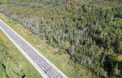 M35 Highway, Rock, MI 49880