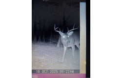 Owens Ward Road, Mountain View, AR 72560
