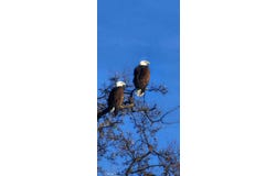 Interlake Road, Bradley, CA 93426