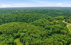Cron Road, Lampe, MO 65681