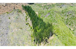 SNOWBERRY Rd, Roseburg, OR 97471