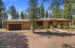 8 Turkey Track Drive, Alpine, AZ 85920