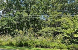 Maple Ridge Drive lot: 32, Lords Valley, PA 18428