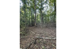 627 Daventon Road, Honea Path, SC 29654