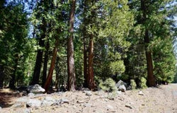59 Yonkalla Trail lot: 100, Graeagle, CA 96103