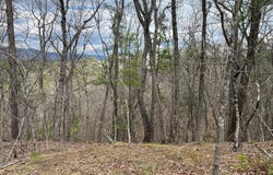 VALLEY VIEW, BASYE, VA 22810