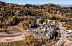 223 Hunter Ridge Rd, Brian Head, UT 84719