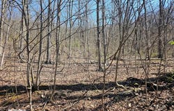 Candlemoss Drive lot: 64, James Creek, PA 16657