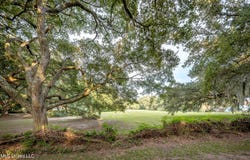 Pointe Aux Chenes lot: 7, Ocean Springs, MS 39564