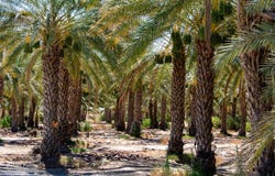 Ave 76 & Expwy 86, Oasis, CA 92274