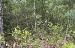 0 Lot 2 Stoddard Rd, Winchendon, MA 01475