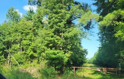 Us-158 Bus, Gatesville, NC 27938